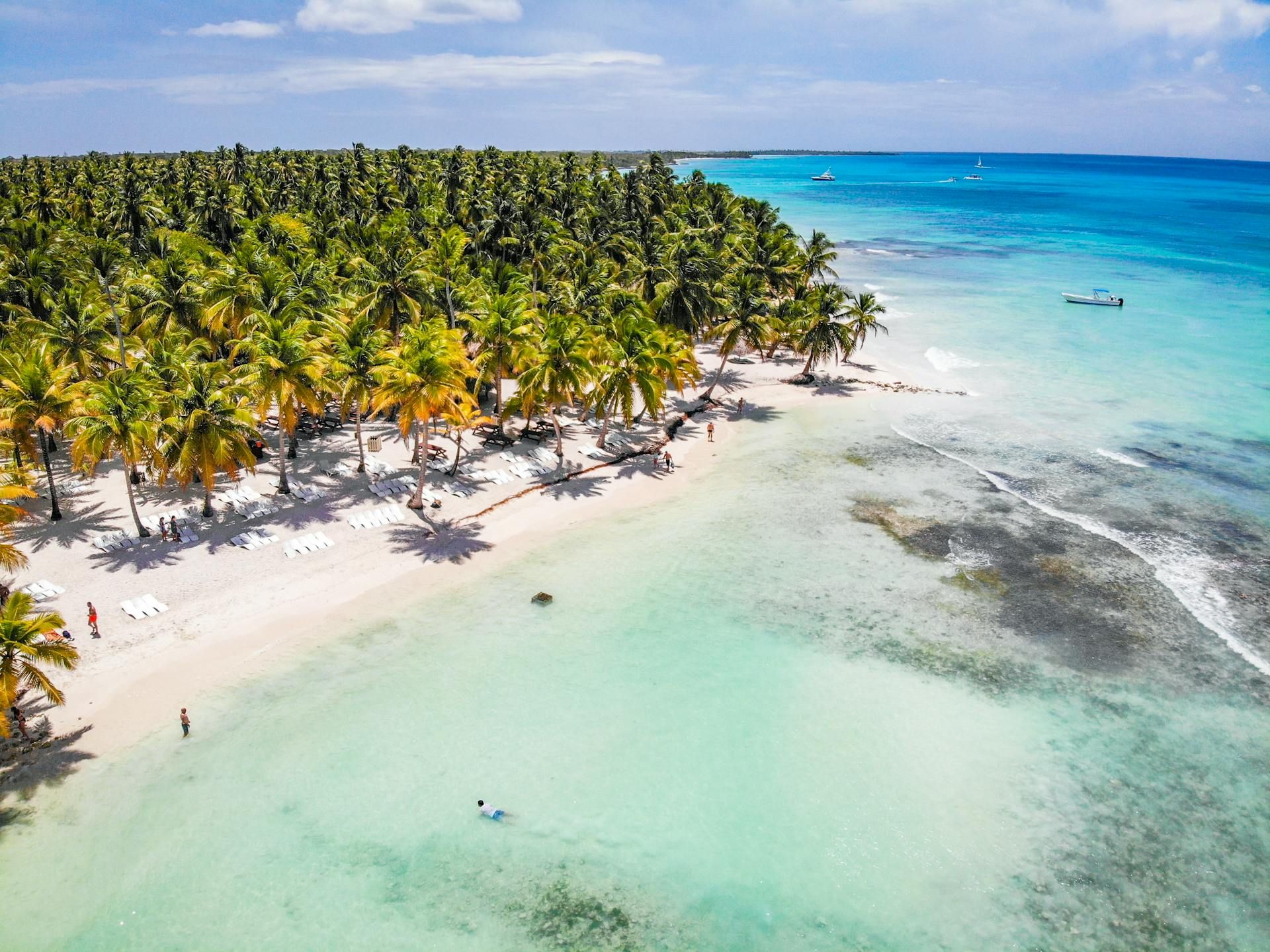 Washington • Punta Cana